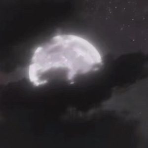 妙玉开庖野史最精髓的十句话
