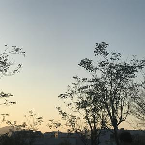 妙玉开庖野史最精髓的十句话
