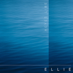 妙玉开庖野史最精髓的十句话
